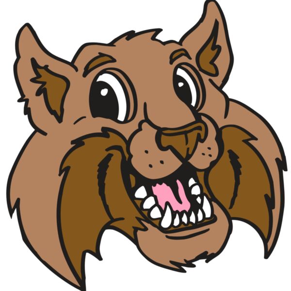 AR5 BOBCAT 05 RQC Thumbnail