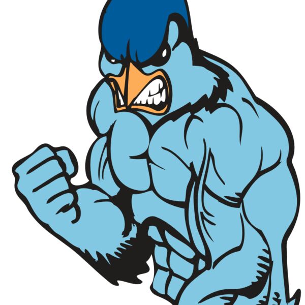 BAW BLUEJAY 13 RC Thumbnail