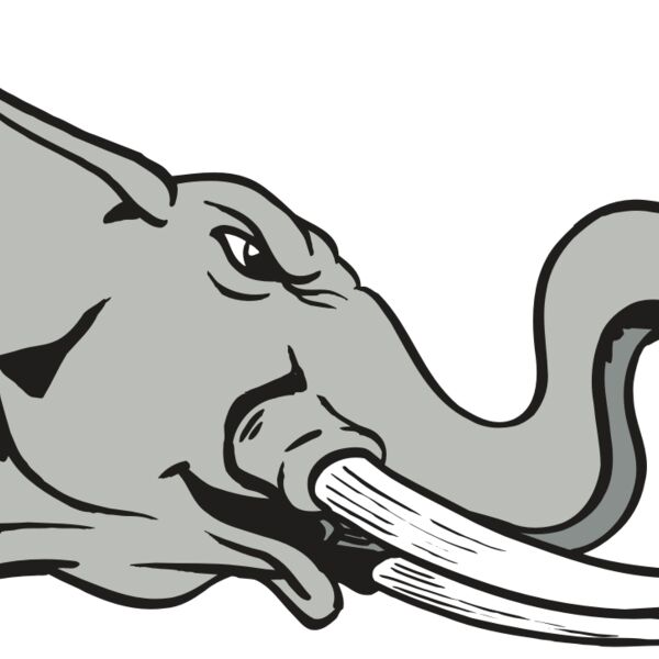 AR ELEPH 16 RC Thumbnail