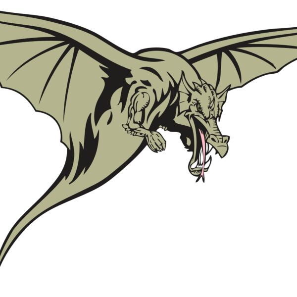 BAW DRAGON 12 RC Thumbnail