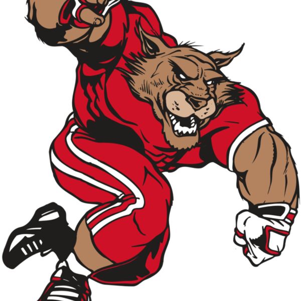 AR WILDCAT 32 RC Thumbnail