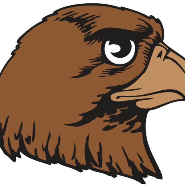 BAW HWK FLCN 05 RC Thumbnail