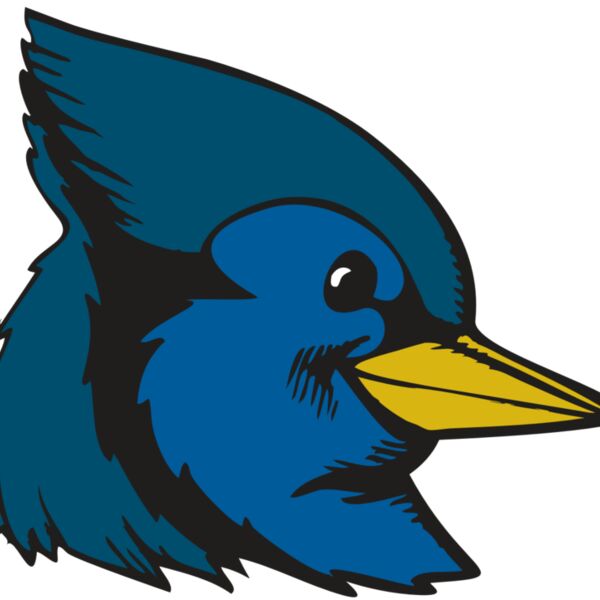 BAW BLUEJAY 07 RC Thumbnail