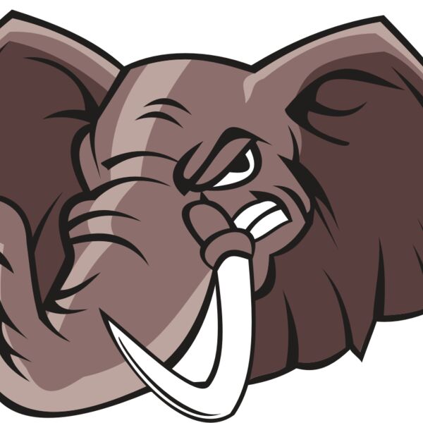 ELEPHANT HD0504 RQC Thumbnail