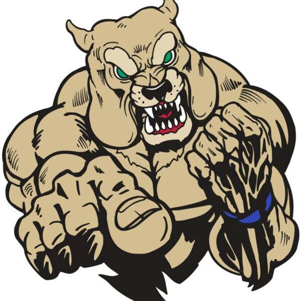 AR5 Bulldog 31 RQC Thumbnail