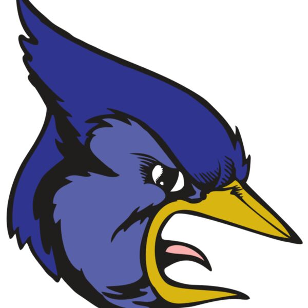 BAW BLUEJAY 04 RC Thumbnail