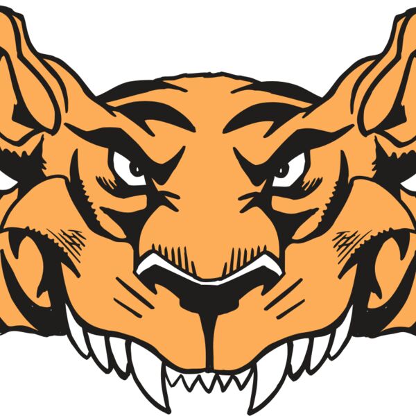 AR5 Tiger 07 RQC Thumbnail