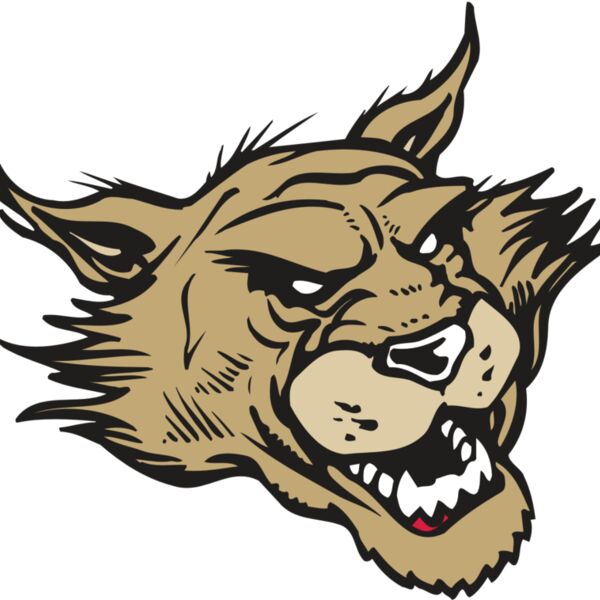 AR WILDCAT 39 RC Thumbnail