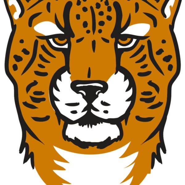 AR32 CHEETAH 01 RQC Thumbnail