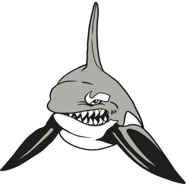 AR19 ORCA 03 RQC Thumbnail