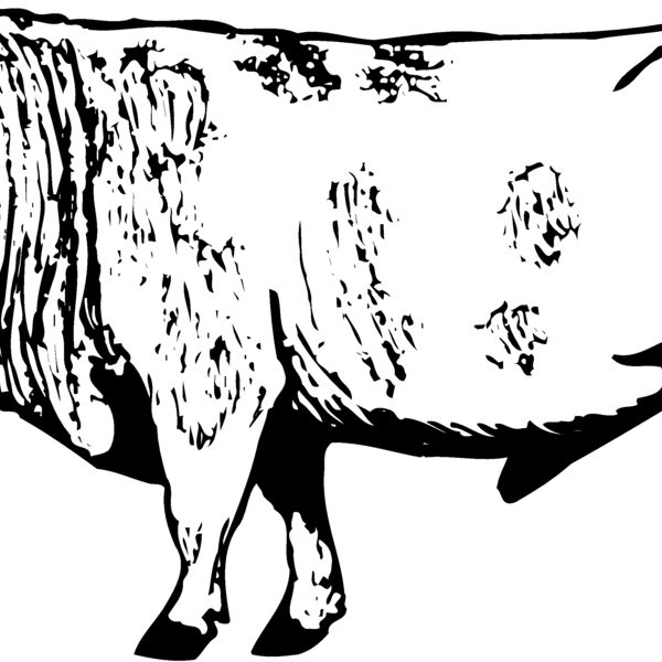 COW014 Thumbnail