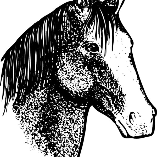HORSE046 Thumbnail