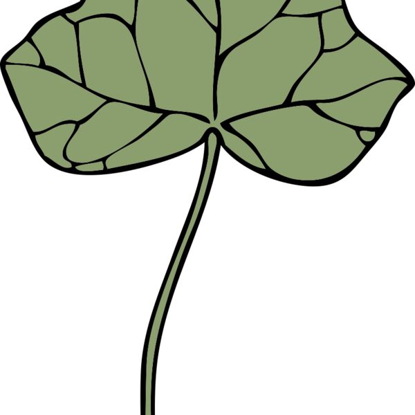 johnny automatic ivy leaf 7 Thumbnail