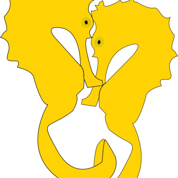 hippocampe copie Thumbnail