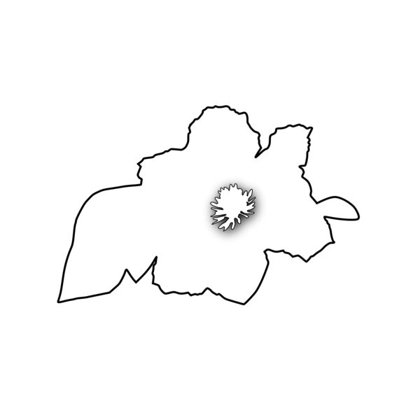 jimmiet Flower1 Thumbnail