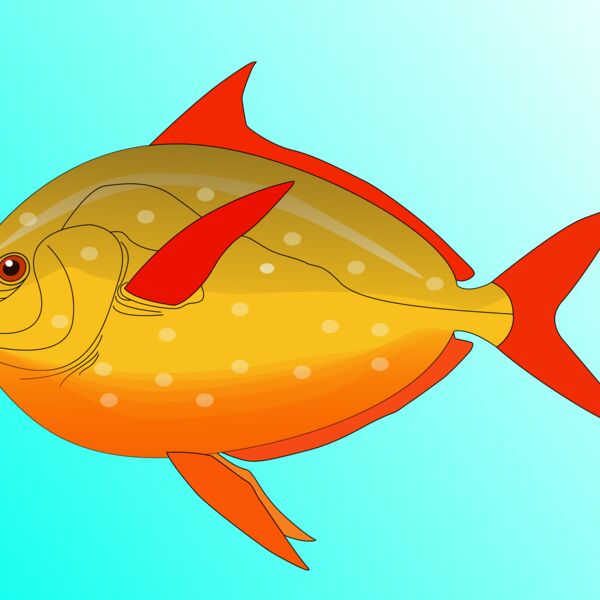 Machovka Fish Thumbnail