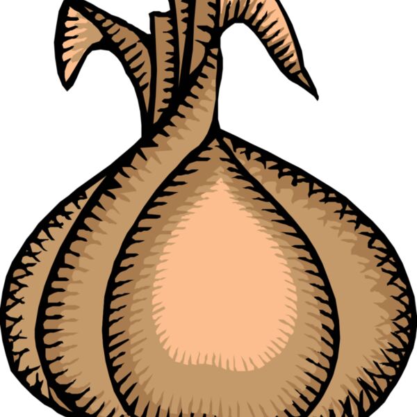 johnny automatic onion Thumbnail