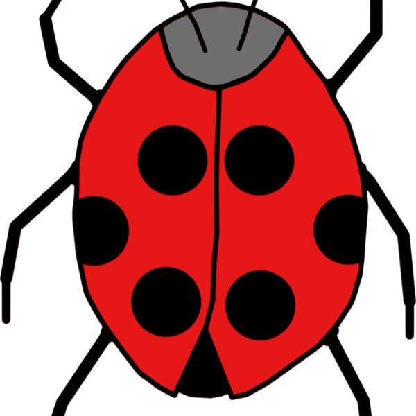ladybug  3  Thumbnail