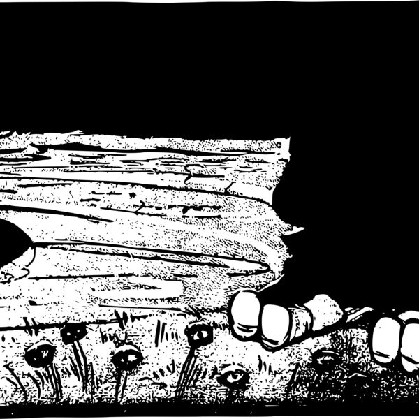 kidsatthelake Thumbnail