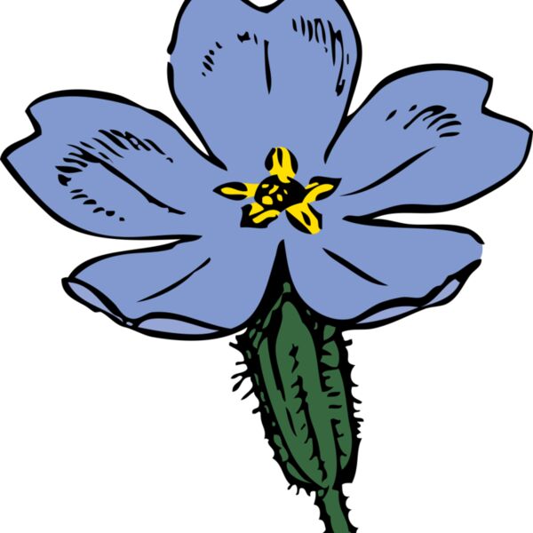 johnny automatic primrose Thumbnail