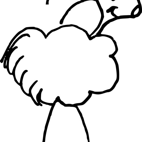 Sheep bird Thumbnail