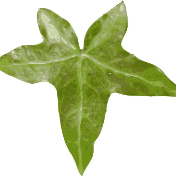 yves guillou leaf Thumbnail