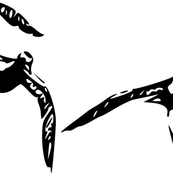 ryanlerch Golden Plovers Thumbnail