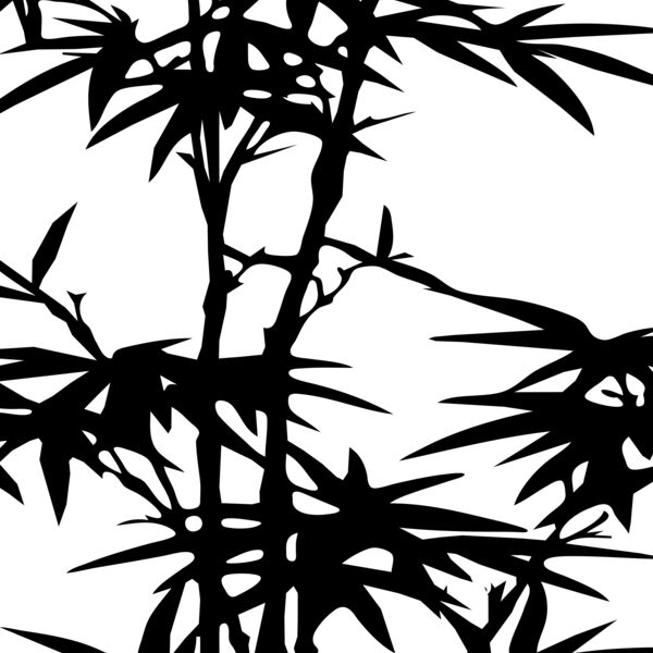 bamboo danny allen r  2  Thumbnail