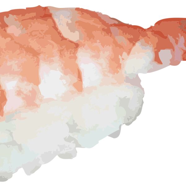 johnny automatic ebi nigiri sushi Thumbnail