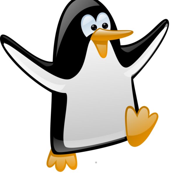 penguin  12  Thumbnail