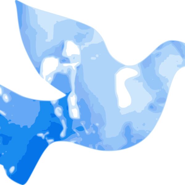 cibo00 Water Dove Thumbnail