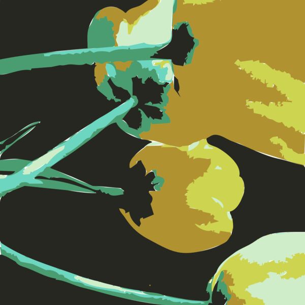 Original Aiflowers 471 Thumbnail