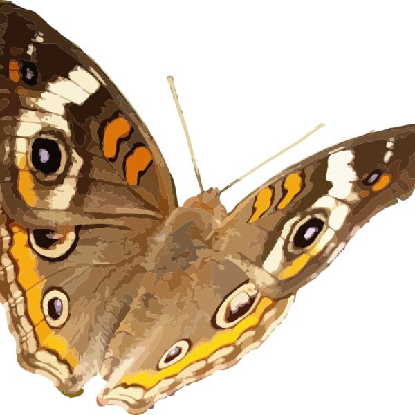 1318118459  2  Thumbnail