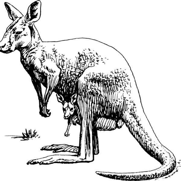 1298073391  2  Thumbnail