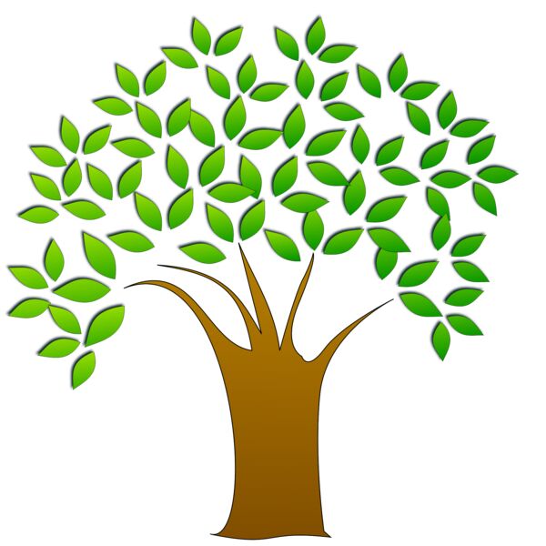 1305612144  2  Thumbnail