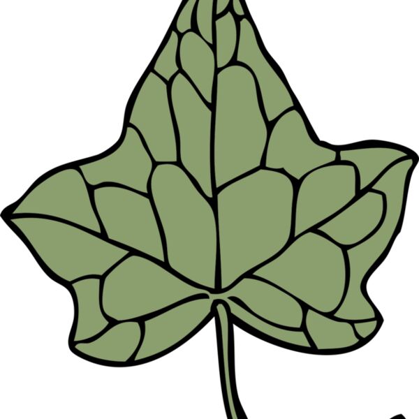 johnny automatic ivy leaf 5 Thumbnail