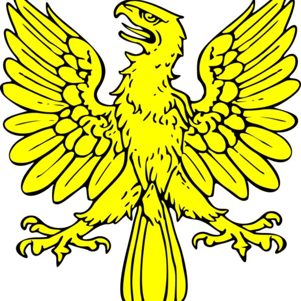 szquirrel eagle displayed Thumbnail