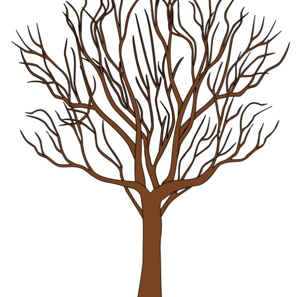 tree in  autumn Thumbnail