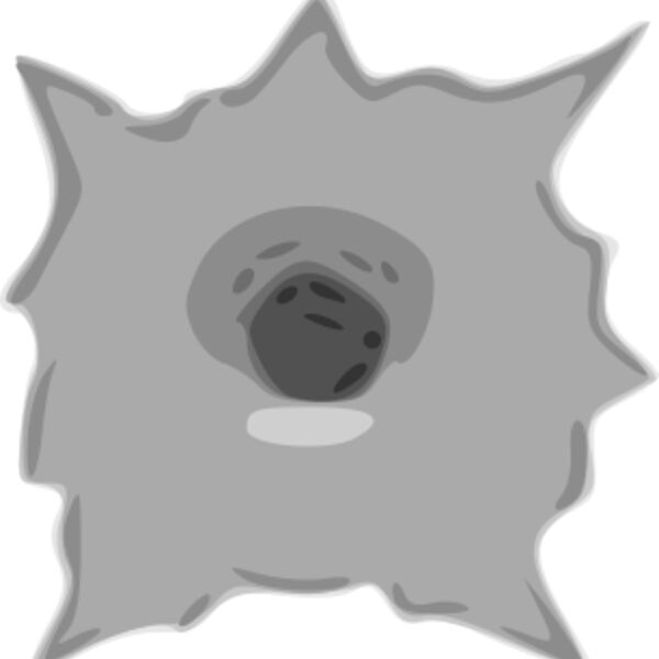 bullet hole linda kim z Thumbnail