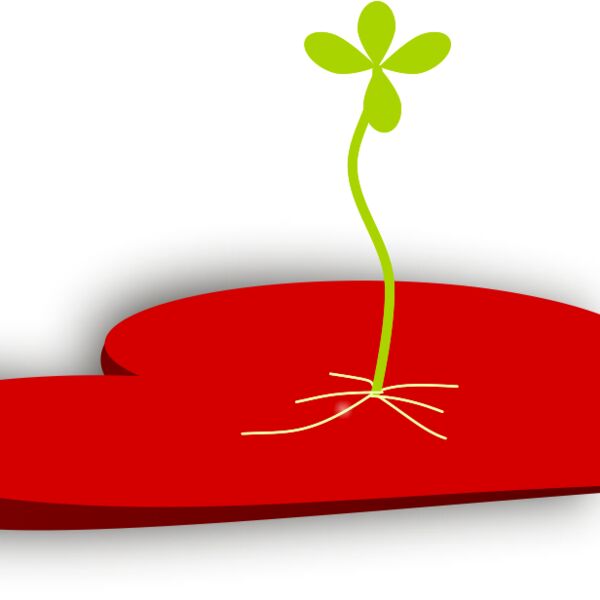 Hearticulture Thumbnail