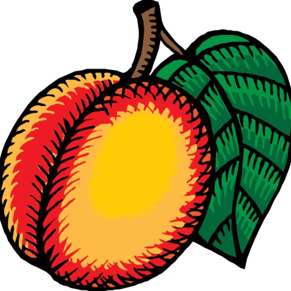 johnny automatic nectarine Thumbnail