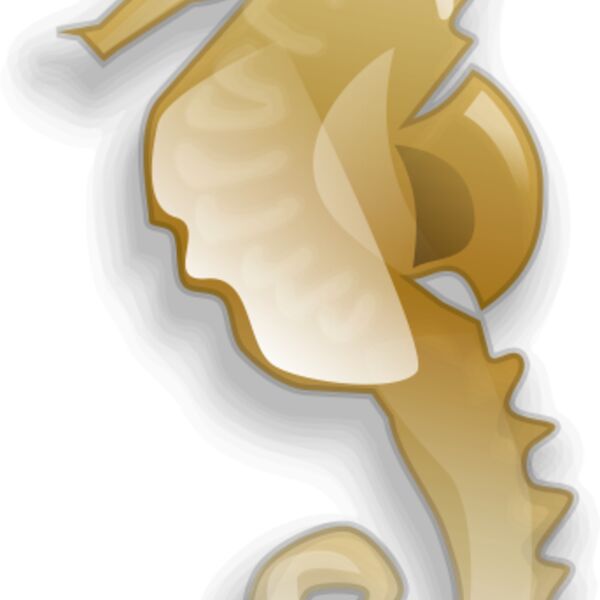 Anonymous Seahorse Thumbnail