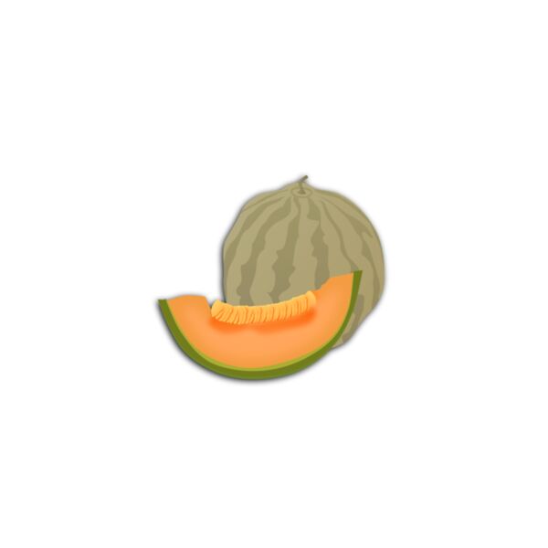 muskmelon Thumbnail