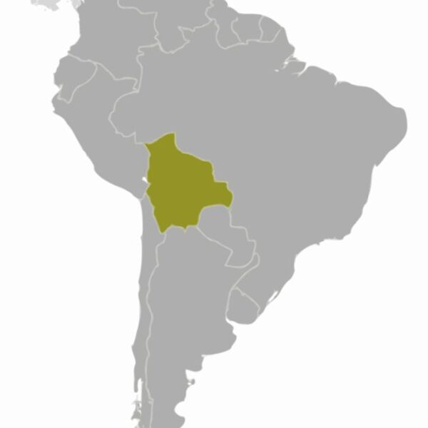 Bolivia location  2  Thumbnail