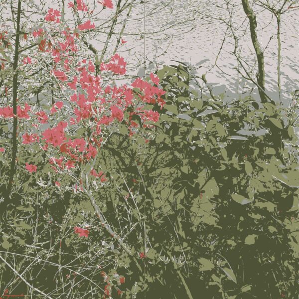 Original Aiflowers 37 Thumbnail