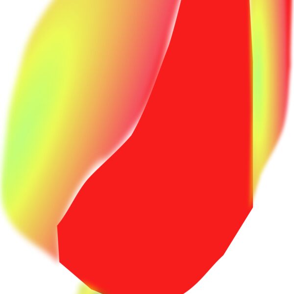 larsen Tulip Flower Thumbnail