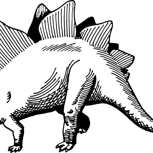 Stegosaurus  Thumbnail