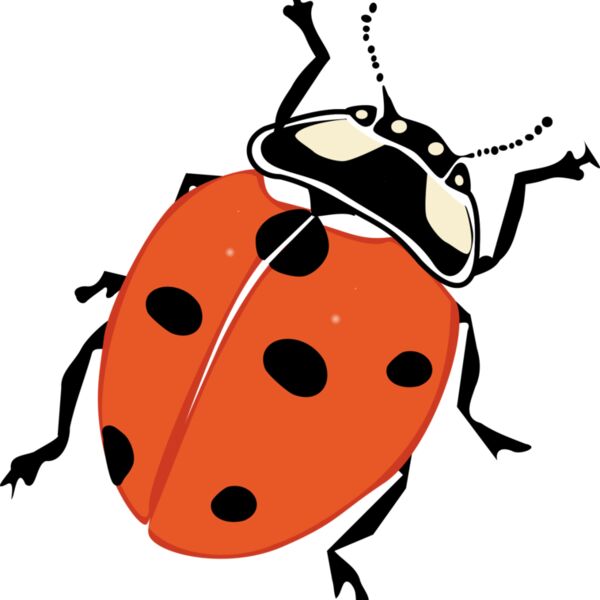 mekonee 29 ladybug 1 Thumbnail
