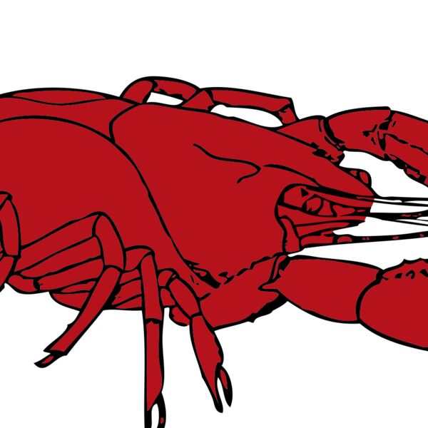 johnny automatic crayfish Thumbnail