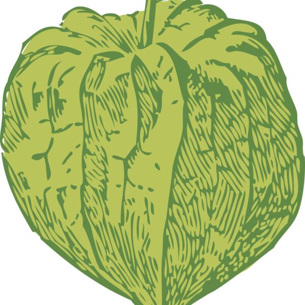 johnny automatic tomatillo Thumbnail